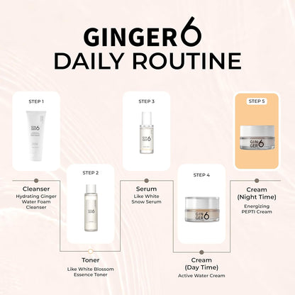 Ginger6 daily skincare routine with product images and step labels on a light pink background.