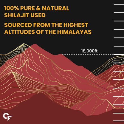 Carbamide Forte Shilajit Gold Capsules For Women With Pure Shilajeet Swarna Bhasma, Saffron & Ashwagandha | Himalayan Shilajit for Women | Shilajeet Gold Original | 60 Veg Capsules