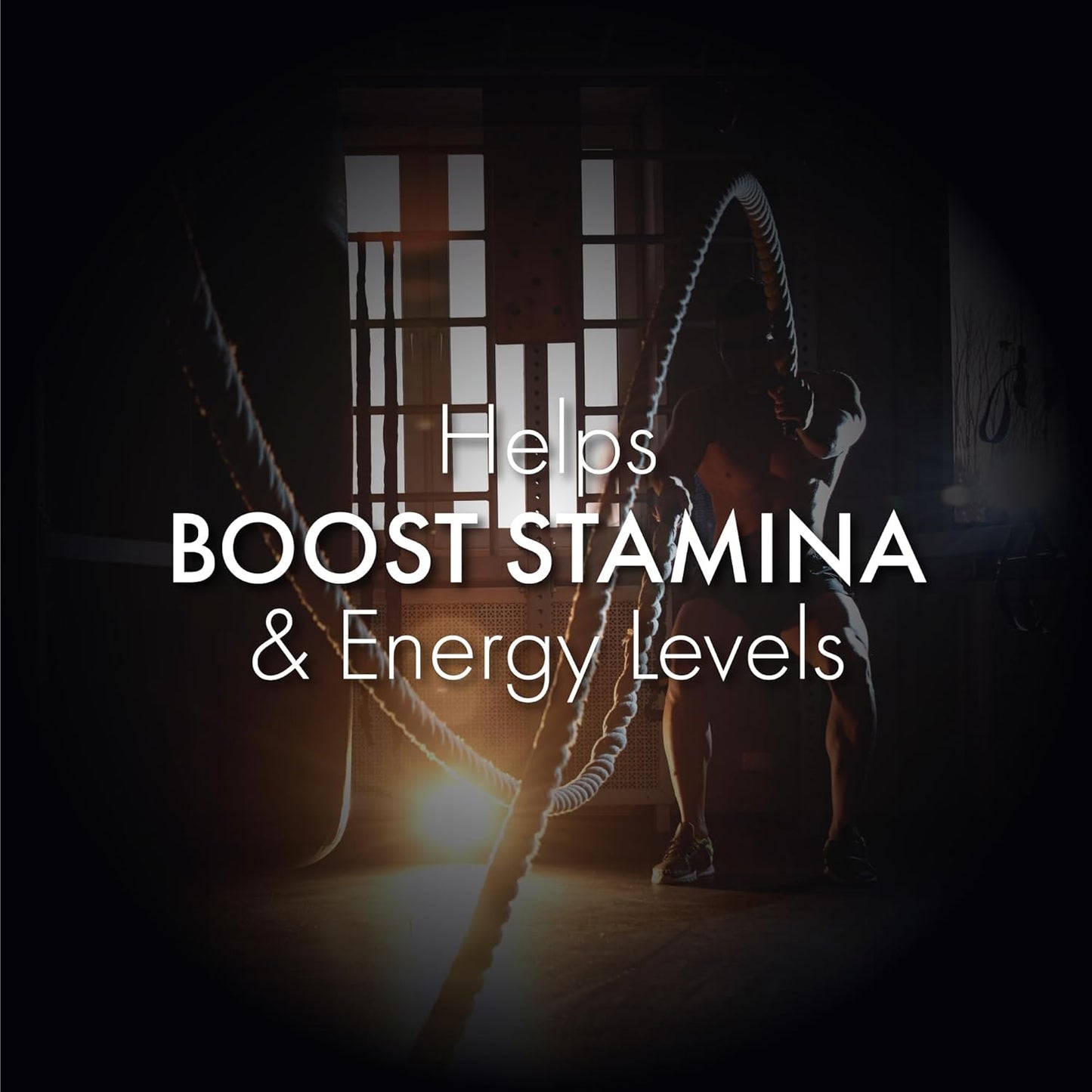 Dr. Vaidya’s Shilajit Oil for Men – Ayurvedic Massage Oil for Strength, Stamina & Recovery | 100% Natural Shilajit Oil with Ashwagandha & Gokshura – Shilajit for Men, 30ml