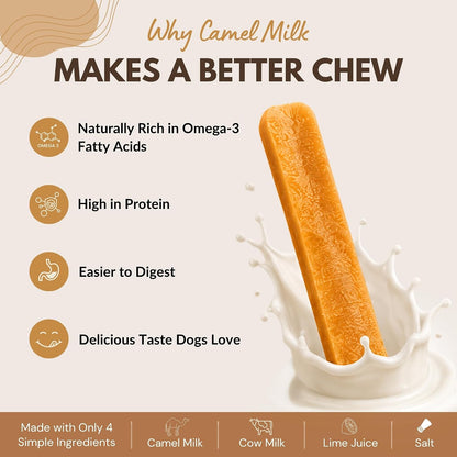 HYE Pets Camel Milk Dog Chews, Rawhide Free Long Lasting Dental Chews, High Protein Natural Dog Treats | Omega-3 Rich & Easily Digestible, Medium - 2 Chews