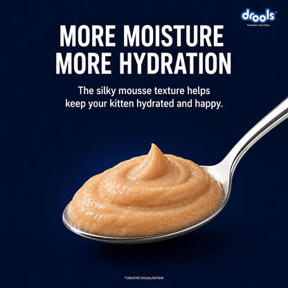 Drools Kitten Wet Mousse 80g | Ocean Fish | High Protein | Promotes Hydration & Easy Digestion | Grain Free | No Artificial Additives | Enriched with Vitamins & Antioxidants