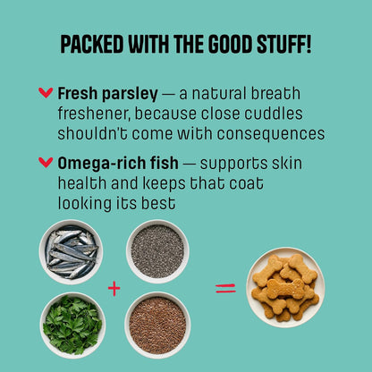 Muttley Crew Dog Biscuits with Real Fish & Parsley | Healthy Adult Dog Treats for Easy Digestion | All Natural | Grain-Free | Gluten-Free | No Artificial Preservatives | No Added Flavour (200g)