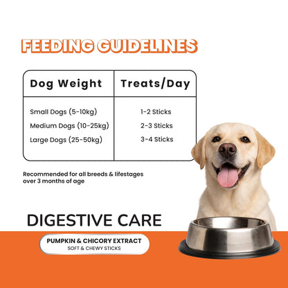 Fullr Digestive Care Dog Treats | Soft & Chewy Sticks with Pumpkin & Spinach | Supports Digestion, Gut Health & Immunity | Healthy Dog Treats for All Breeds & All Life Stages, 300 g