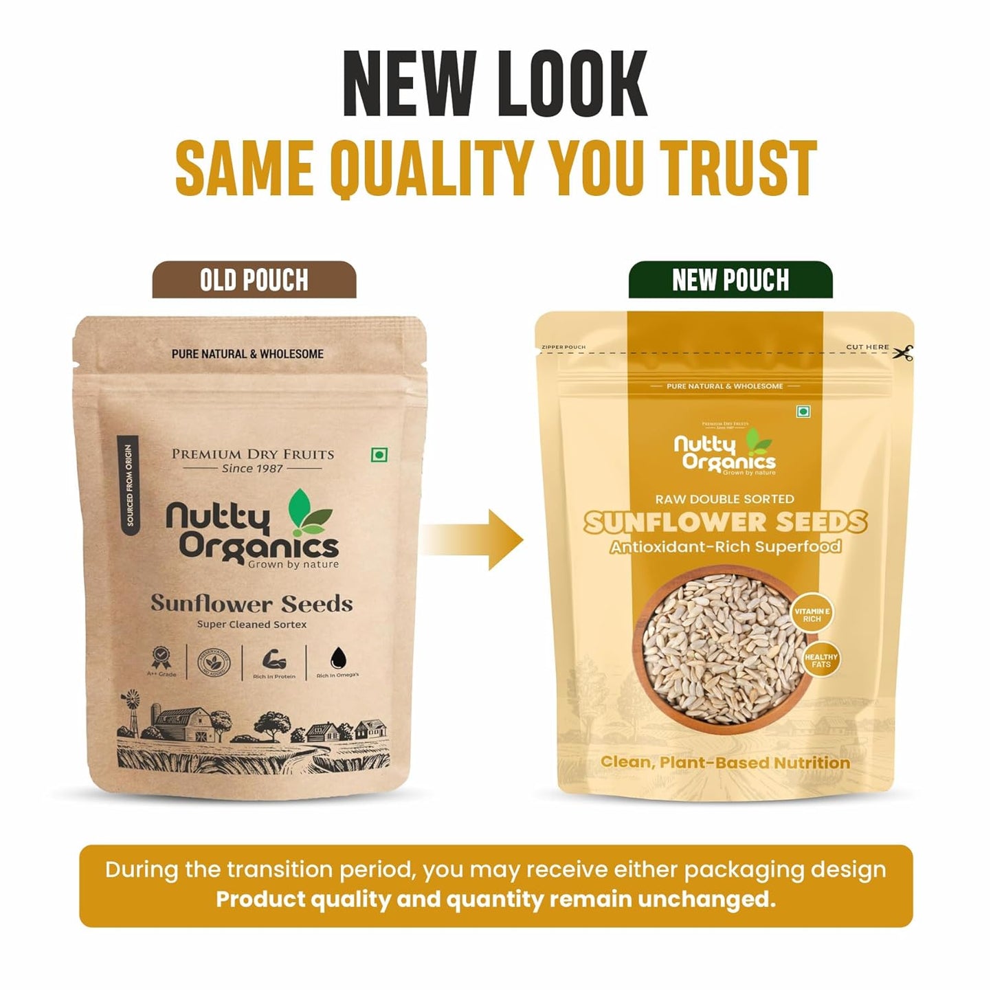 NUTTY ORGANICS Natural Sunflower Seeds 200GM | Raw Sunflower Seeds for Eating- Diet Food | Healthy Snack | Raw Seeds | Weight Management