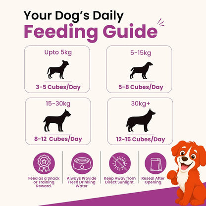 Nootie Rewards Soft Chicken Cubes for Dogs 50g | High Protein Dog Treats