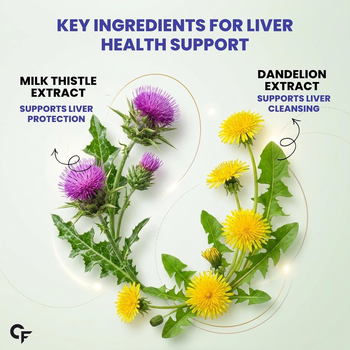 Carbamide Forte Milk Thistle Tablets | Liver Detox Supplement with NAC, Dandelion & Vitamin C | NAC Supplement to support Liver Health & Digestion - 60 tablets