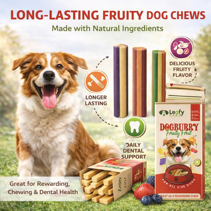 LeafyPaws Dogburry Dog Treats (35g) | Grain Free, Lactose Free, 100% Natural Reward Snack | No Added Preservatives | Healthy Training Treats for All Breeds (Fruity Fruit)