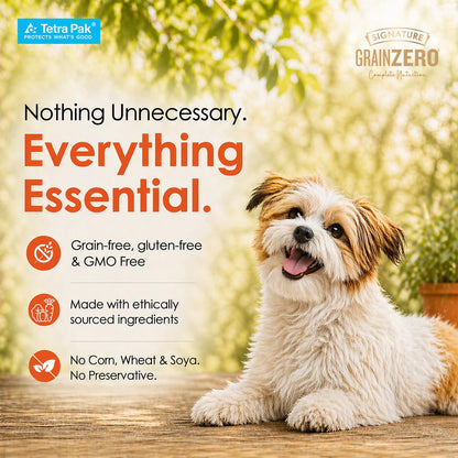 Grain Zero Dog Fresh Food Tetra Pak Real Chicken, Egg & Pumpkin, for Adult & Puppy, 350g | Supports Joint & Health | Immune System | Anti Inflammatory Properties | Ready to Serve | One Pack One Meal