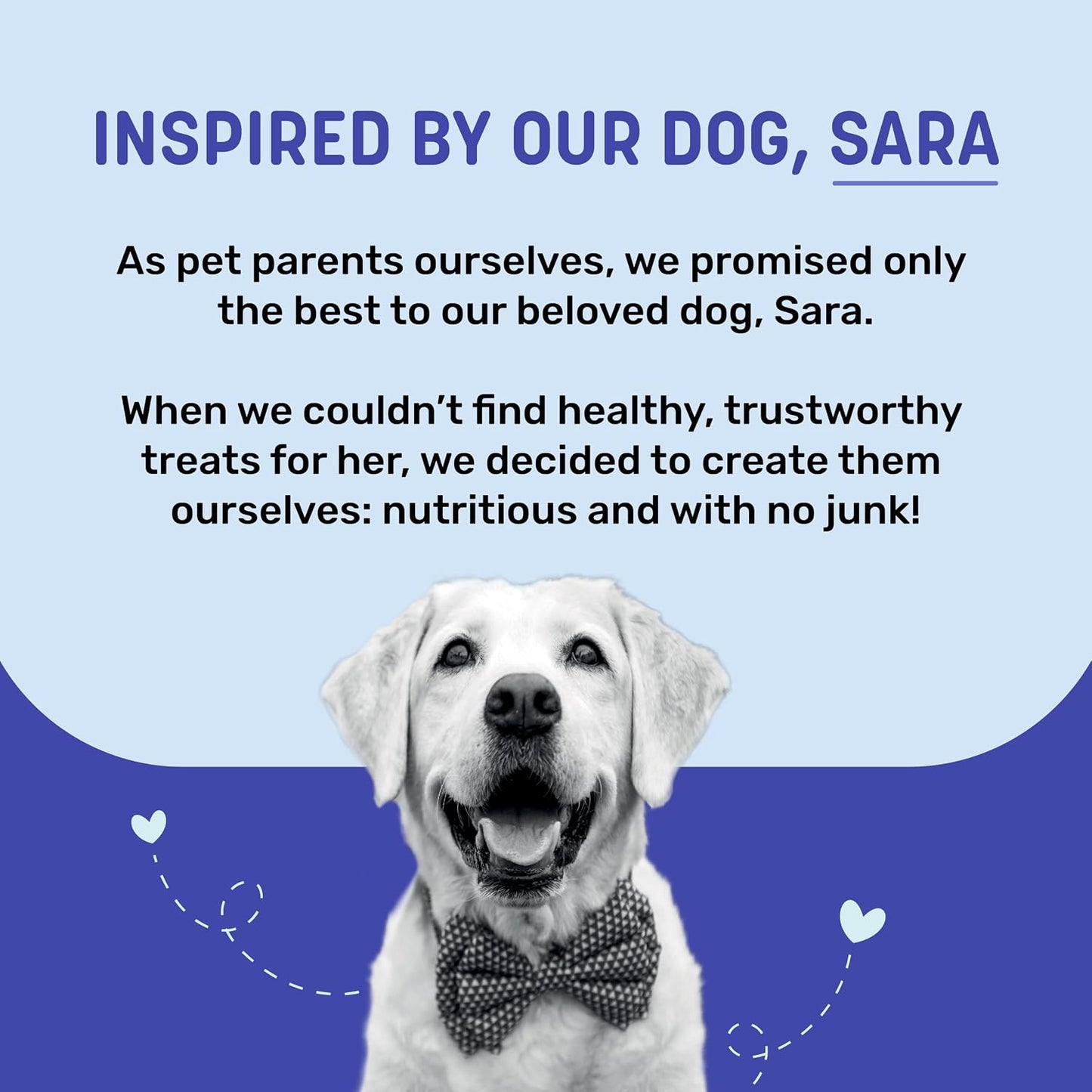 Sara’s Doggie Treats – Dehydrated Chicken Jerky with Blueberry – 70 gm | 100% Natural, High-Protein Dog Treat | Rich in Antioxidants | Grain & Preservative-Free