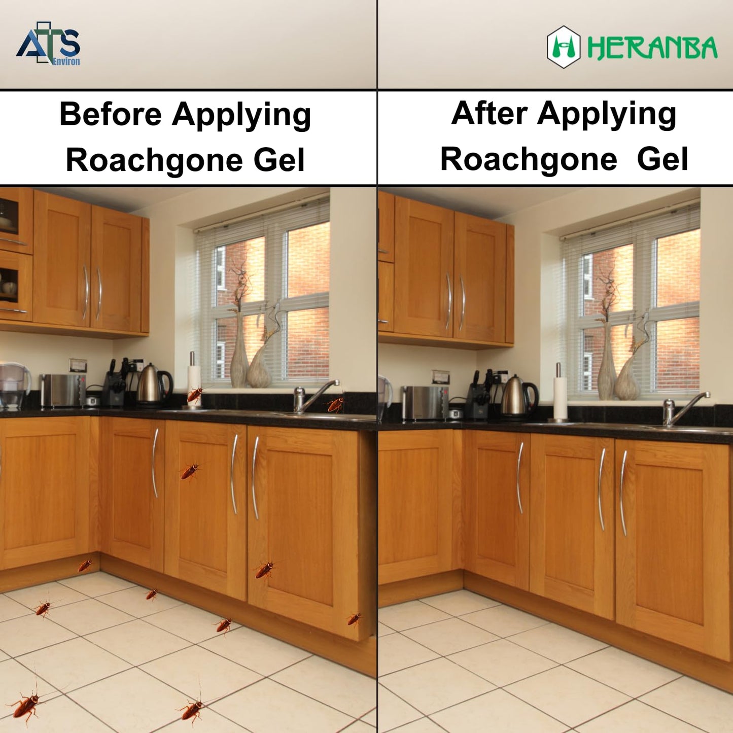 Heranba Roachgone Cockroach Killer – 35g | HACCP Certified Bait for Roach Control | Anti Roach Solution for Kitchen, Cabinets & Bathroom