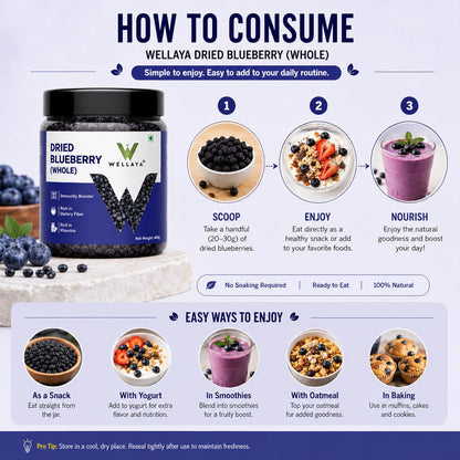 WELLAYA Premium Blueberry | Dry Fruit | High Nutrient and Antioxidant | Healthy & Tasty Whole & Dried Blueberry | Rich in Calcium and Vitamin K | Vegan