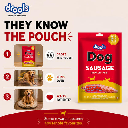 Drools Puppy & Adult Dog Sausage 360g (5+1 Free) | Chicken Flavour | Supports Brain & Vision Development | Promotes Muscle Growth | Aids Digestion & Overall Wellness