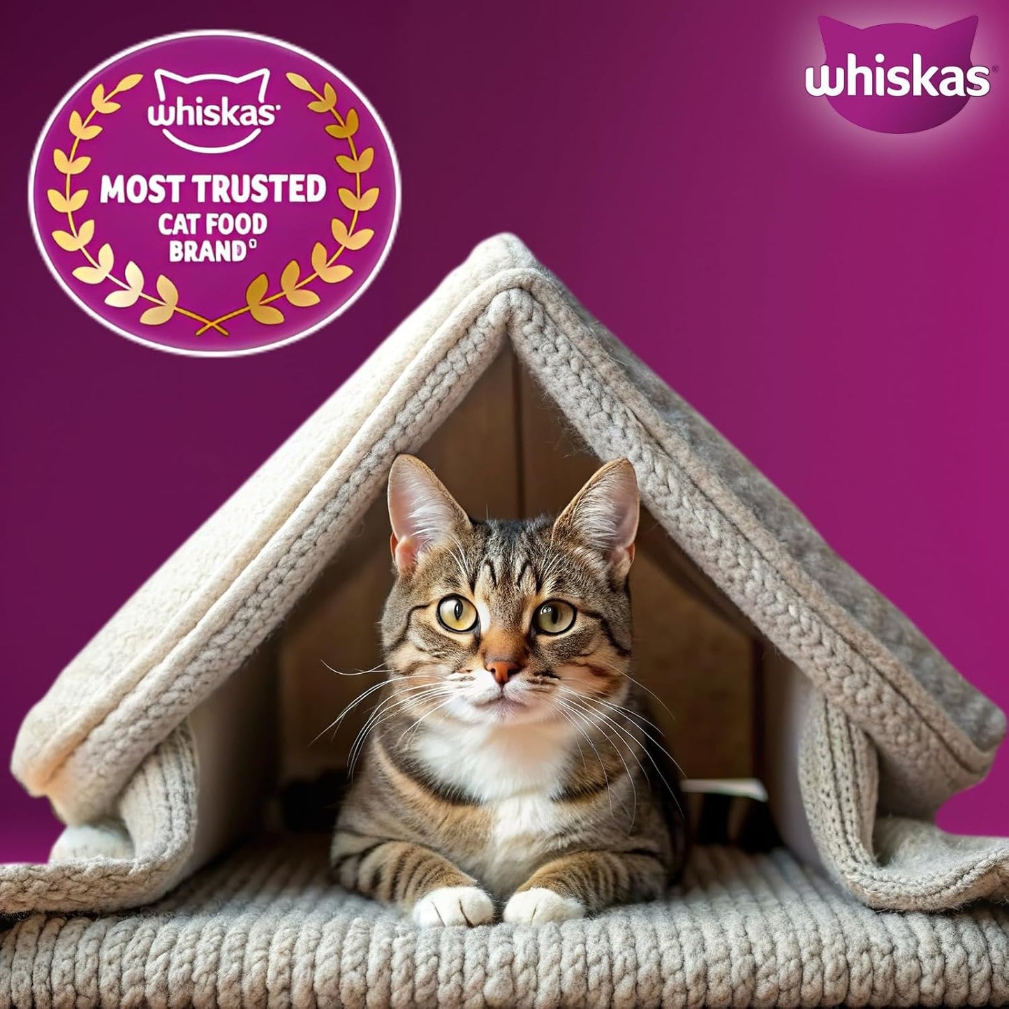 Whiskas Adult Dry Cat Food Chicken Flavour 1.2kg, Complete & Balanced Meal