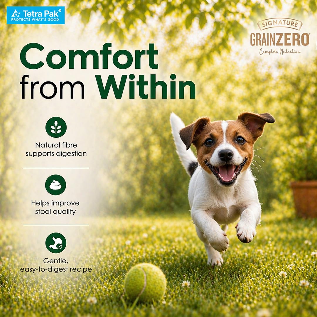 Grain Zero Dog Fresh Food Tetra Pak Real Chicken & Vegetables, for Adult & Puppy, 350g | Supports Joint & Health | Immune System | Anti Inflammatory Properties | Ready to Serve | One Pack One Meal