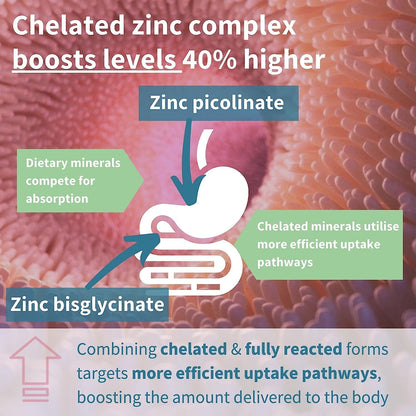 VITARUHE® Chelated Zinc Picolinate & Bisglycinate Complex with Copper, Zinc for Immune, Skin and Cellular Health, High Absorption, Non-GMO, 90 Capsules