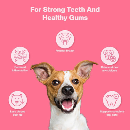 BLEP Super Oral Defence - Dog Dental Supplement, Bad Breath, Plaque, Tartar & Gum Health | Seaweed, Enzymes & Probiotics | Daily Teeth Cleaning | Chicken Chew Sticks, 60g
