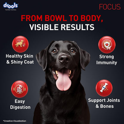 Drools Focus Premium Adult Dry Dog Food 1.2kg Pack | Chicken Flavour | Growth & Intelligence | Digestive Health | Healthy Skin & Coat | Improves Immunity