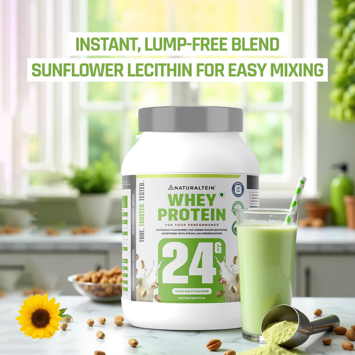 Whey protein container with a green smoothie and sunflower on a kitchen counter