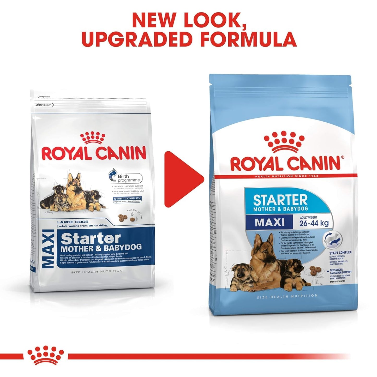 Royal Canin Maxi Starter, Mother & Babydog Food, 1 Kg, Dry Food, Supports Complex Natural Defence & digestive health, Provides Gestation/Lactation Support, Supports Easy rehydration