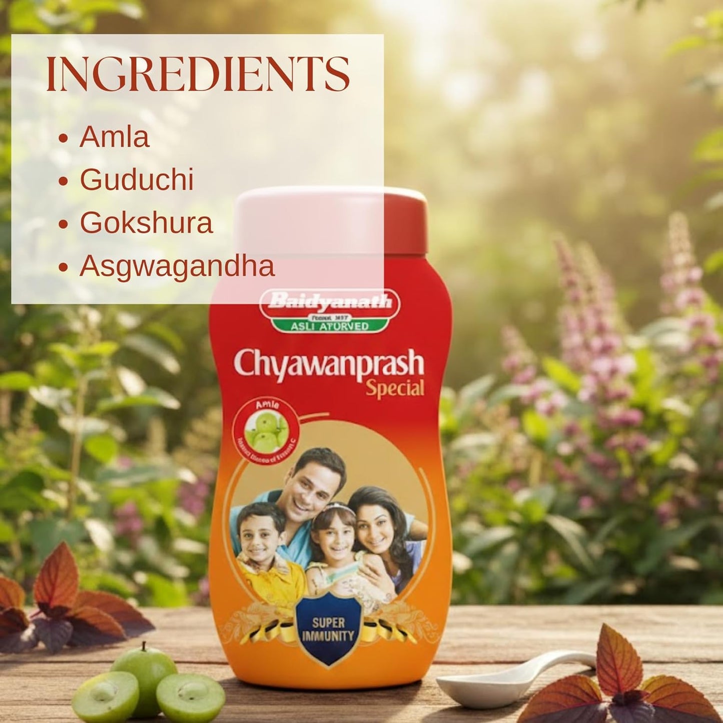 Baidyanath Jhansi Chyawanprash Special - 500g