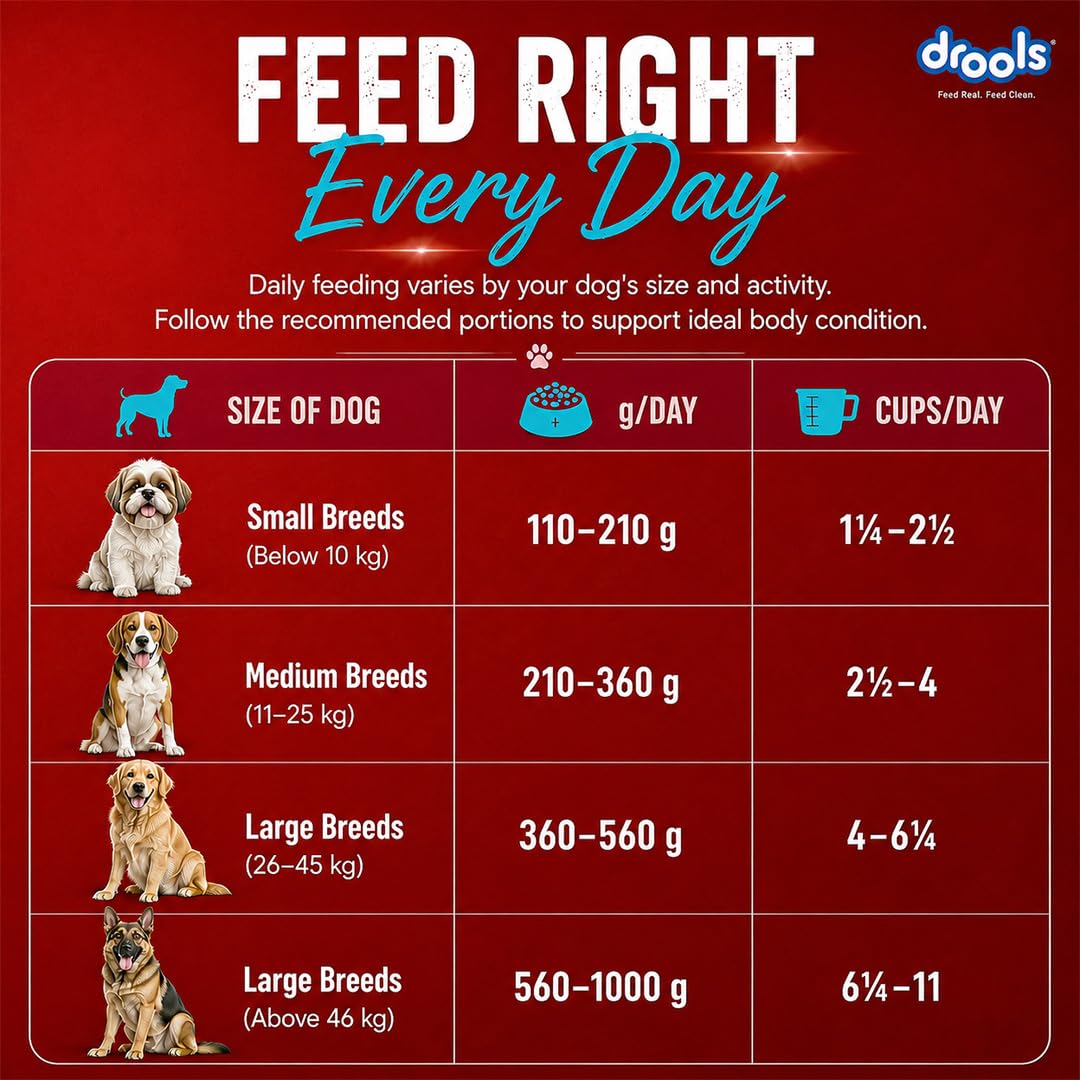 Drools Adult Dry Dog Food 1kg | Fish and Rice Flavour | Fish & Rice Formula | Gentle on Gut | Helps Maintain Strong Muscles and Vitality | Organic Chelated Minerals