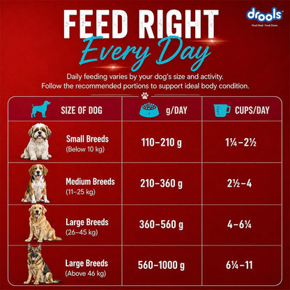 Drools Adult Dry Dog Food 1kg | Fish and Rice Flavour | Fish & Rice Formula | Gentle on Gut | Helps Maintain Strong Muscles and Vitality | Organic Chelated Minerals