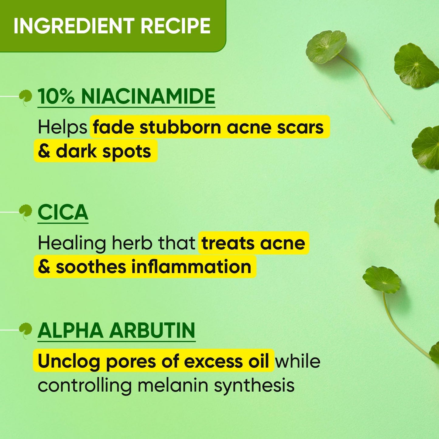 zephivo Dot & Key 10% Niacinamide + Cica Serum | Reduces Acne & Dark Spots | Niacinamide Serum | Controls Excess Oil, Quick Absorbing, & Lightweight | For Oily, Acne Prone & Sensitive Skin | 20ml
