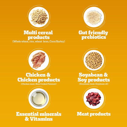 Pedigree Adult Dry Dog Food, New Chicken Biryani Flavour, 1 kg, Protein of 4 Chicken Pieces, Vitamin D3 of 6 Eggs, Calcium of 7 Cups of Yogurt, 100% Complete and Balanced Nutrition
