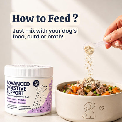 My Fur Child Advanced Digestive Support for Dogs | 3.2 Billion CFU 9-Strain Probiotics, Digestive Enzymes, Pumpkin & Prebiotics | Supports Gut Health, Digestion & Stool Quality | Lasts Up to 60 Days