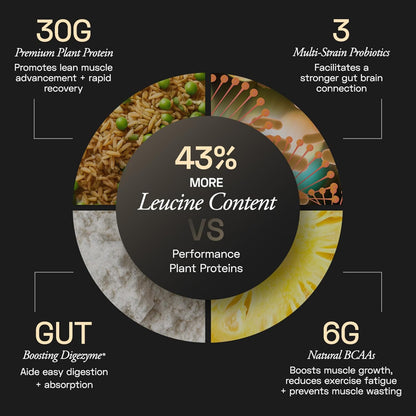 Ace Blend Intense 30g Plant Protein | Supports Muscle Growth & Recovery | Reduces Post-Workout Fatigue | 6g BCAA Amino Profile | Easy to Digest | For Men & Women | Chocolate Hazelnut 15 Servings, 675g