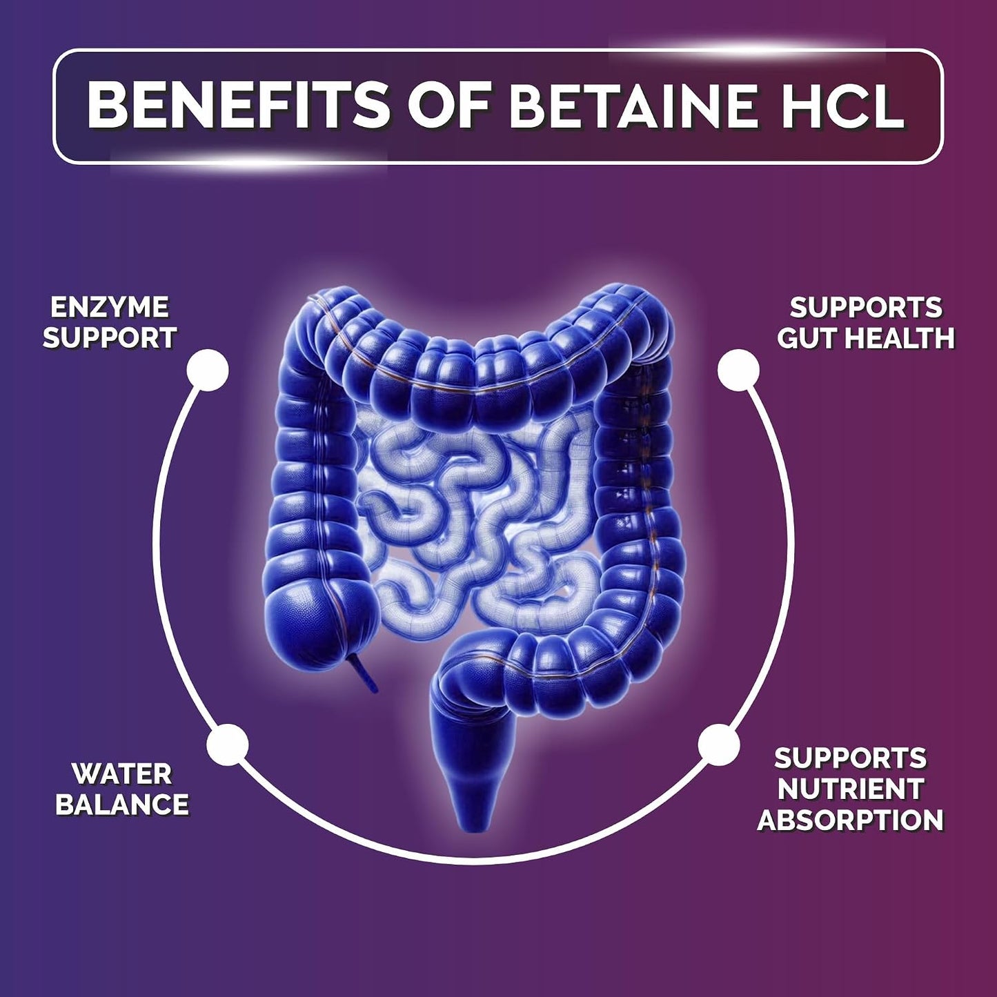 Biotrex Nutraceuticals Betaine HCL 650mg with Pepsin | Enzyme Support | Gut Health | Water Balance | Supports Nutrient Absorption & Reduces Fat | 60 Veg Capsules