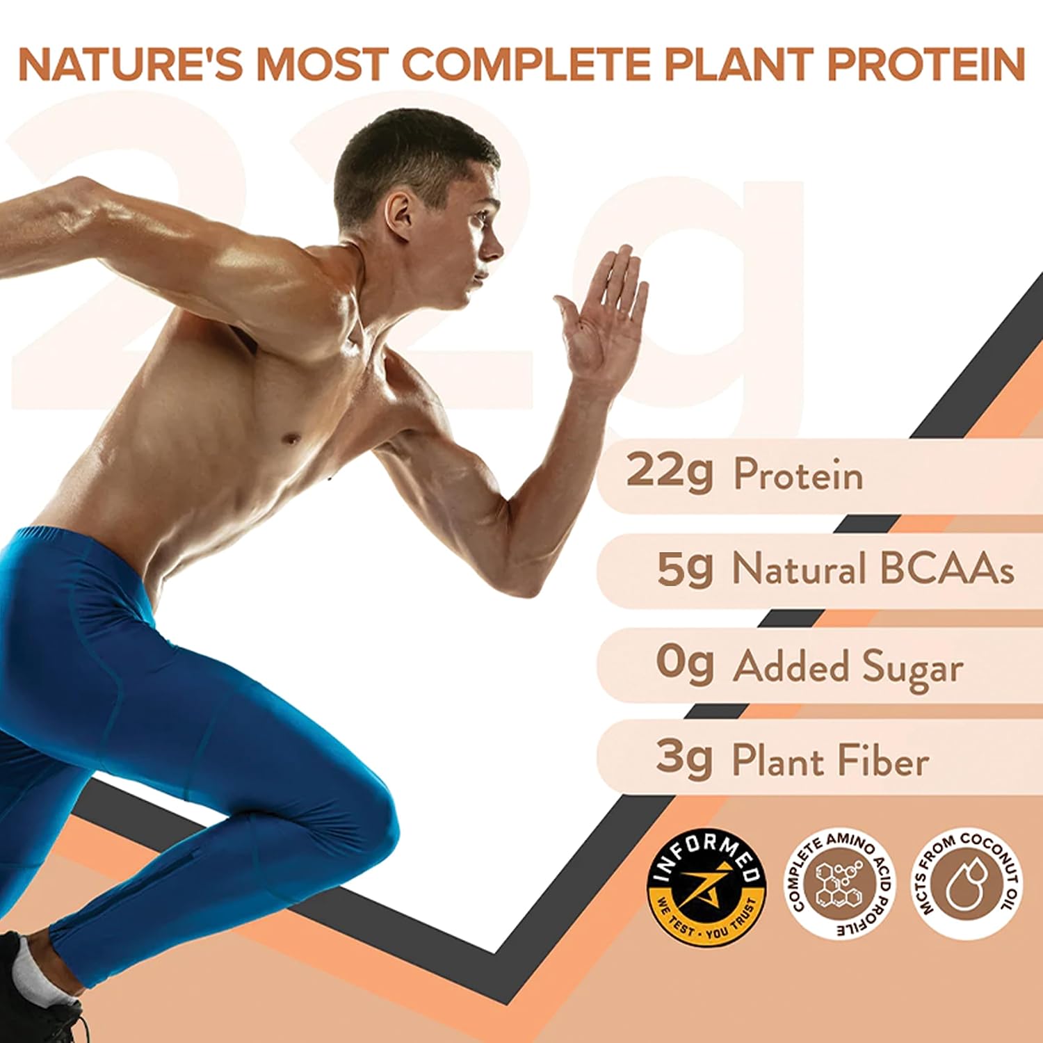 Zephivo Wellbeing Nutrition Organic Vegan Plant Protein Isolate Powder | 22g Protein, 5g BCAA European Pea & Brown Rice Protein | Superfoods, Fiber for Muscle Growth & Recovery | Dark Chocolate - 500gm