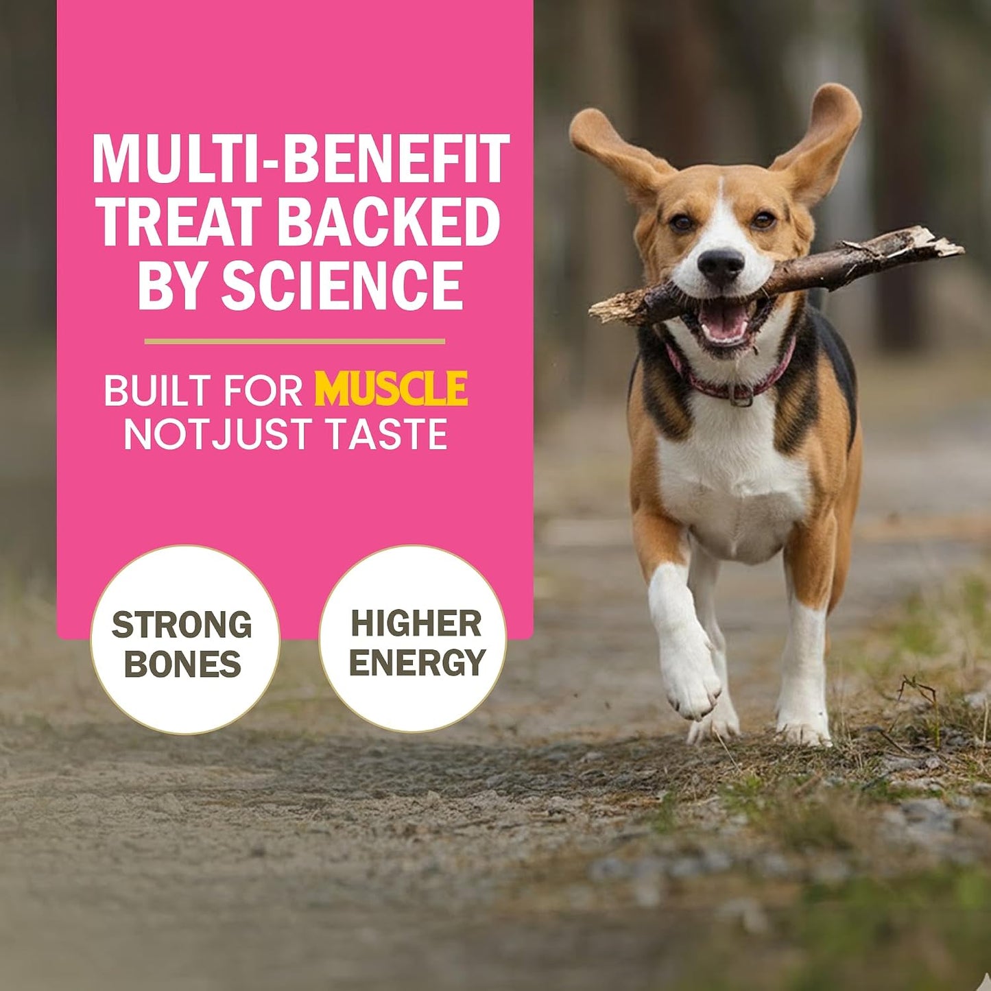 Gnawlers Dog Treats Bone Calcium Bone (30 in 1) Pack of 1