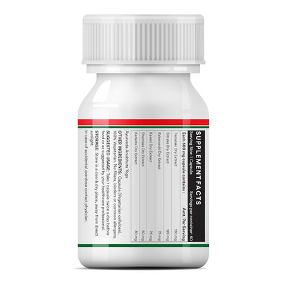 INLIFE Liver Support Supplement with Ayurvedic Herbs | Tamalaki, Citraka, Dhamasa, Kasanai, Kakamachi | Supports Healthy Liver Function for Men & Women - 60 Vegetarian Capsules