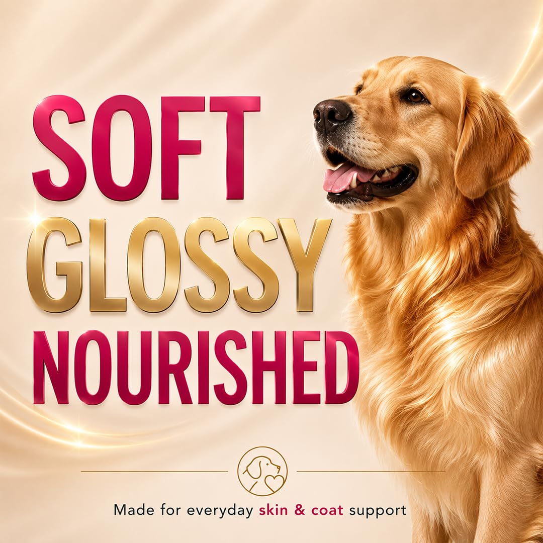 Drools Absolute Dog Supplement Tablet, Skin + Coat 400g 110 Pieces Jar | Turmeric Flavour | Supports Skin & Food Sensitivity | Nutrients Rich Botanical