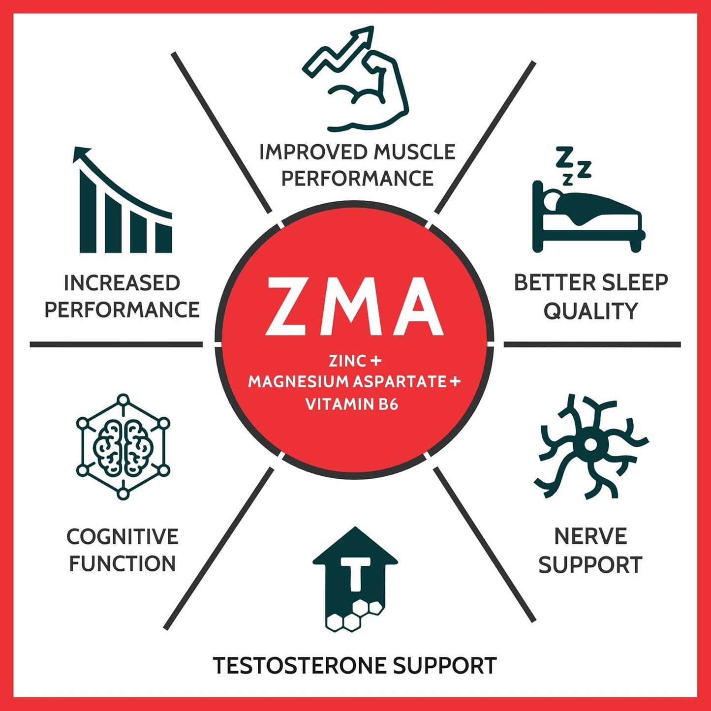 ZMA supplement diagram with benefits including improved muscle performance, better sleep quality, increased performance, cognitive function, nerve support, and testosterone support.