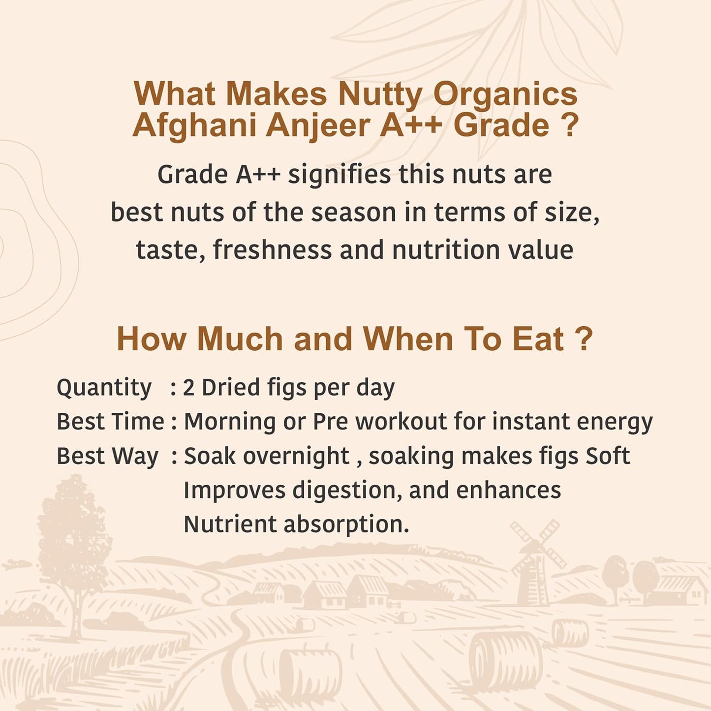 NUTTY ORGANICS Premium Dried Afghani Anjeer| Rich in Fiber | Rich in Nutrients | Packed with Fiber & Nutrients for a Healthier, Happier You | Anjeer Dry Fruit