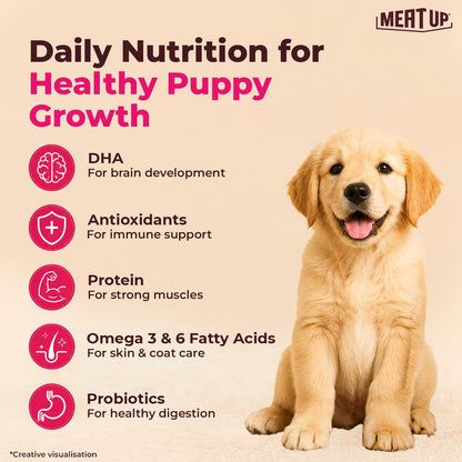 Meat Up Puppy Dry Dog Food 1.2kg Pack| Chicken & Milk Flavour | Supports Growth | Highly Palatable & Easily Digestible