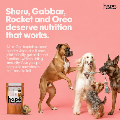 Hope All in One 14-in-1 Supplement Chews for Dog 60 Chicken hoplets |Multivitamins, Joint Support, Probiotics, Biotin, Omega 3 & 6| Pet Chews for Absolute Wellness | ColdPressed, Hypoallergenic