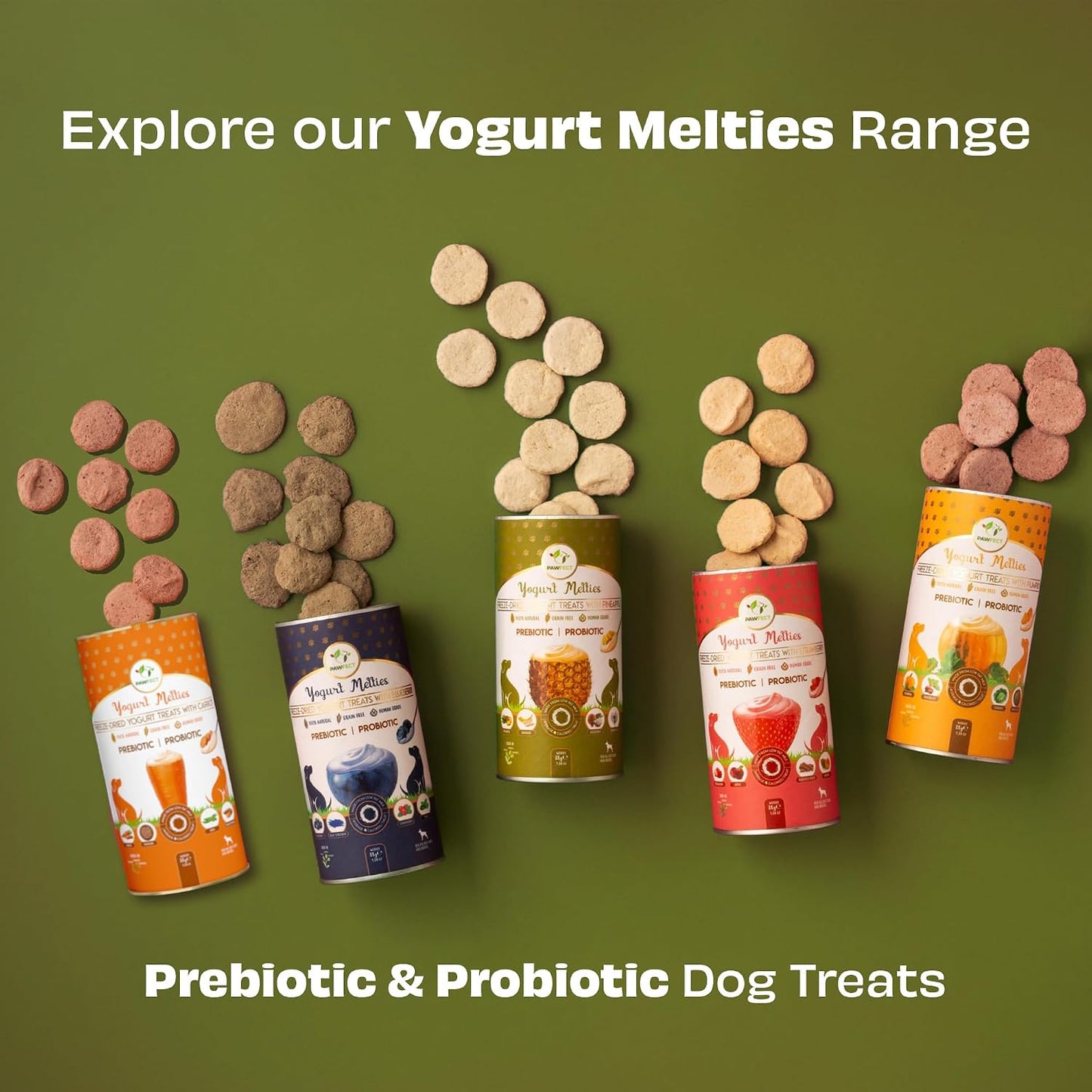 Pawfect Yogurt Melties Freeze Dried Pre and Probiotic Dog Treats with Pineapple, Coconut, Banana, Dandelion - Healthy Gut - Low Calories - Grain & Gluten Free - Reward or Training Treats (38g/1.34oz)