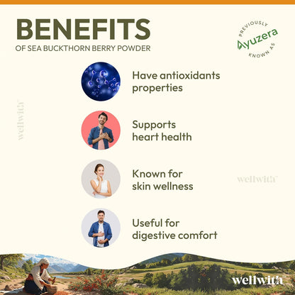 Wellwith Himalayan Sea Buckthorn Dry Berry Kkin Powder, 100g | Rich in Omega 3, 6, 7, 9 | Collagen, Fiber, Omegas, Vitamin C, Vitamin E | Dry Sea Buckthorn Berry Powder (100, Grams)