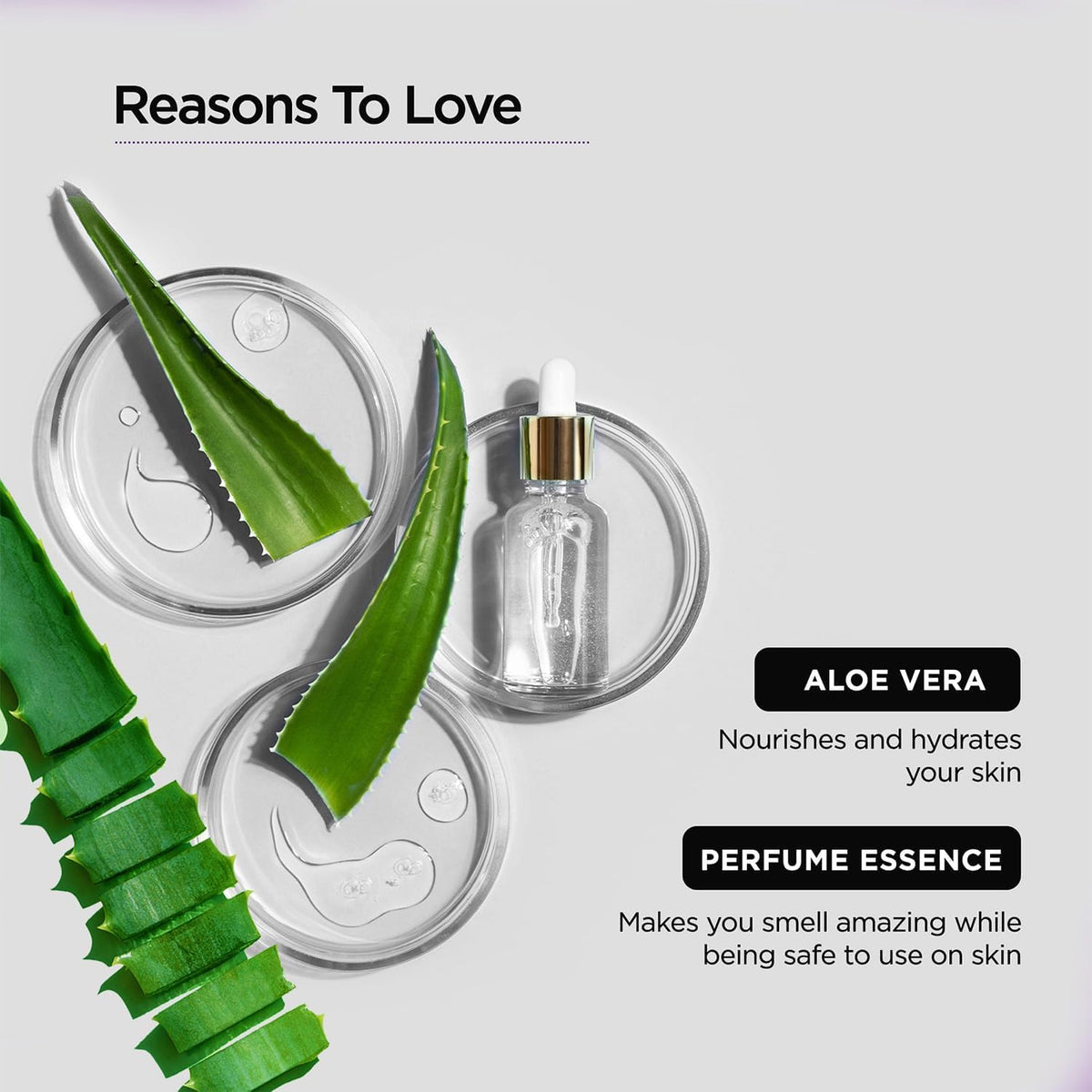 Aloe vera leaves and a perfume essence bottle with text on a light gray background