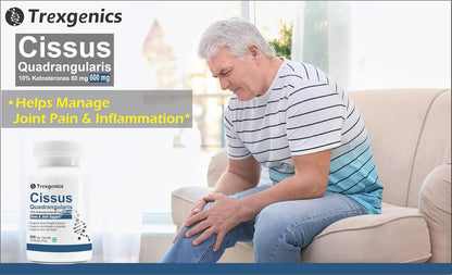 Trexgenics CISSUS QUADRANGULARIS Hadjod 10% Ketosterones 600 mg Joint Pain & Bone Density Support VEGAN & NON-GMO (60 Veg. Capsules) (Pack of 1)