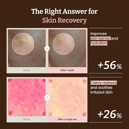 Dr.Reju-All Advanced PDRN Rejuvenating Cream | Korean PDRN Face Cream with 99% Pure Salmon DNA, Niacinamide & Collagen | Deep Hydration, Anti-Aging, Skin Repair, Elasticity Boost, Barrier Repair & Brightening Moisturizer (20ml)