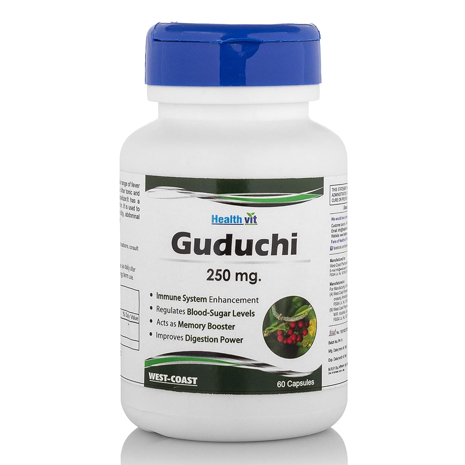 Healthvit Guduchi 250 mg supplement bottle on a white background