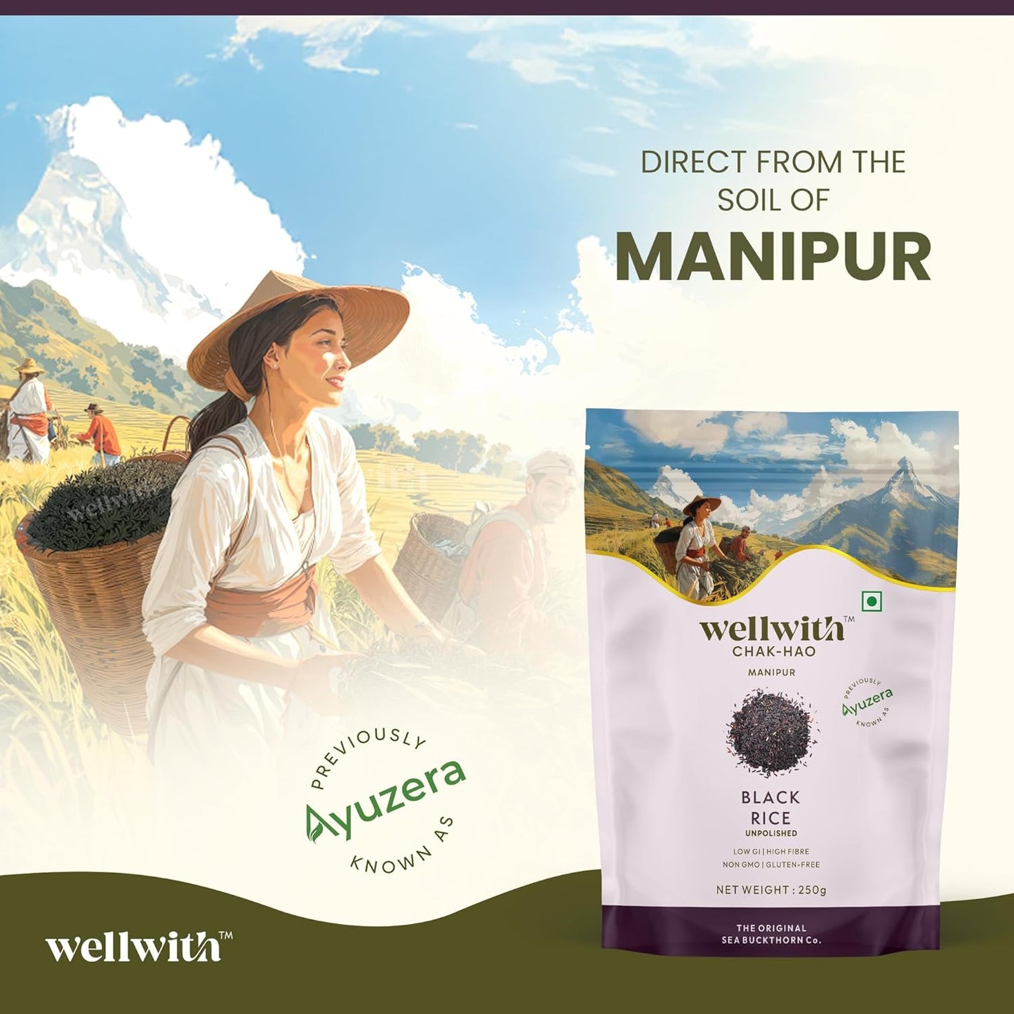 Wellwith (Ayuzera) Black Rice Gluten Free 250g | Chak Hao | Organic Karuppu Kavuni |100% Natural & Organic | Forbidden Manipuri Rice (Pack of 1)