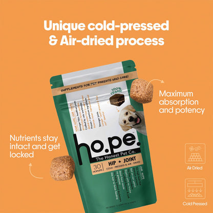 Hope Hip & Joint Health Supplement Dogs 30 Vegan hoplets | Pet Chews with Glucosamine, Chondroitin, MSM, Turmeric| Cold-Pressed | Air-Dried | Hypoallergenic | Dog Supplement |Honest Pet Co