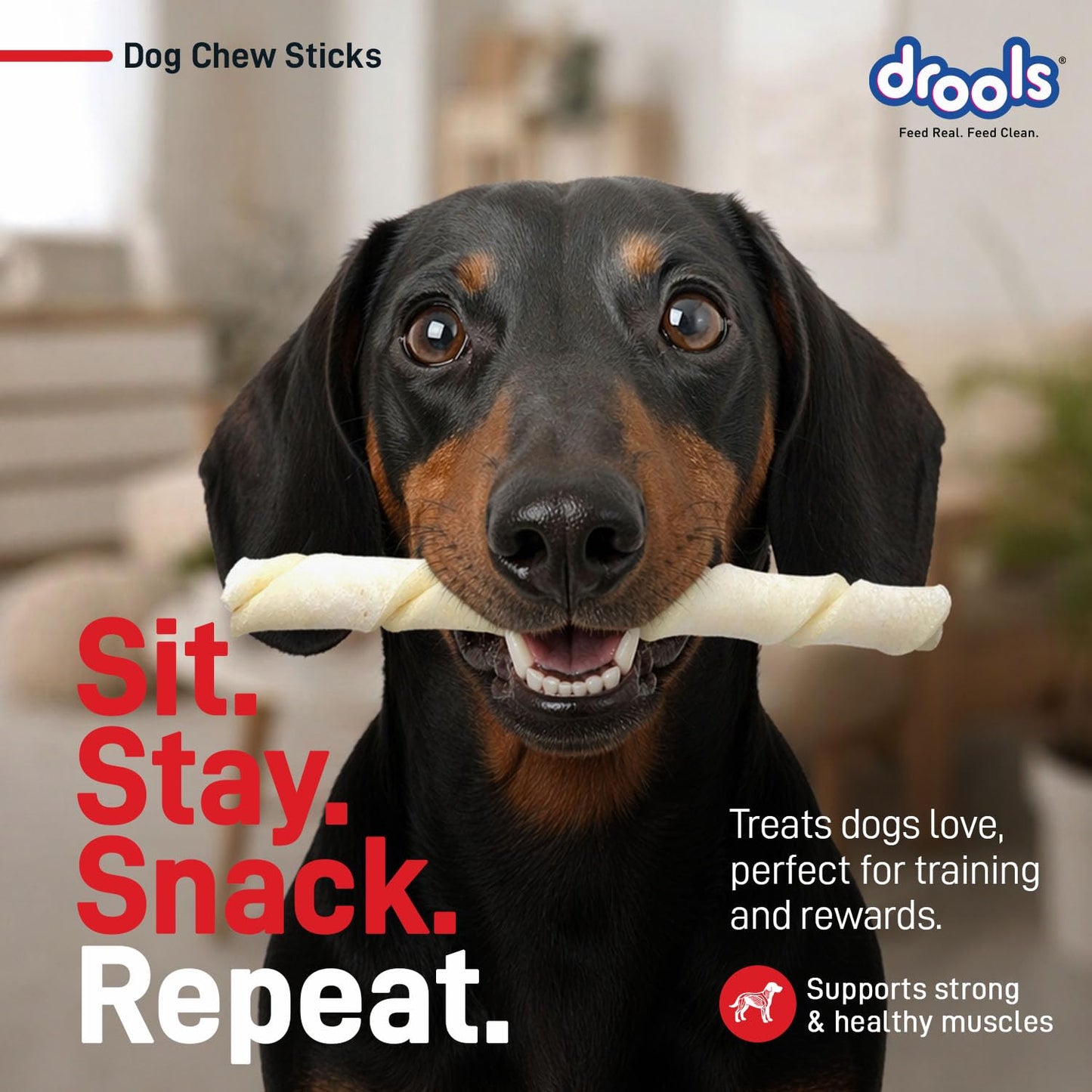 Drools Rawhide Sticks 300g | All Life Stages | Digestive Support | Easy to Chew | Healthy Treats | Training Friendly