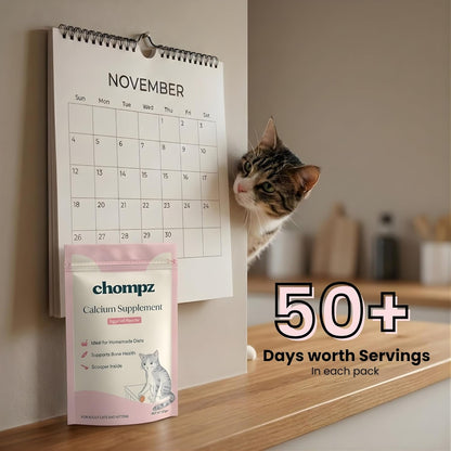 Chompz Eggshell Powder for Cats | Natural Calcium Supplement | 50gm Powder | Single Ingredient | Bone & Muscle Health | Mixes into Any Meal | Scooper Included | 50+ Servings | For Adult Cats & Kittens