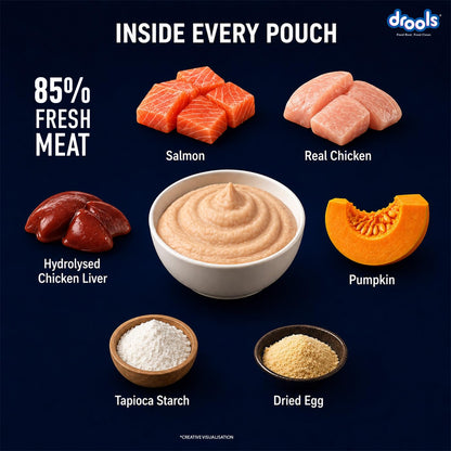 Drools Kitten Wet Mousse 80g | Salmon | High Protein | Promotes Hydration & Easy Digestion | Grain Free | No Artificial Additives | Enriched with Vitamins & Antioxidants